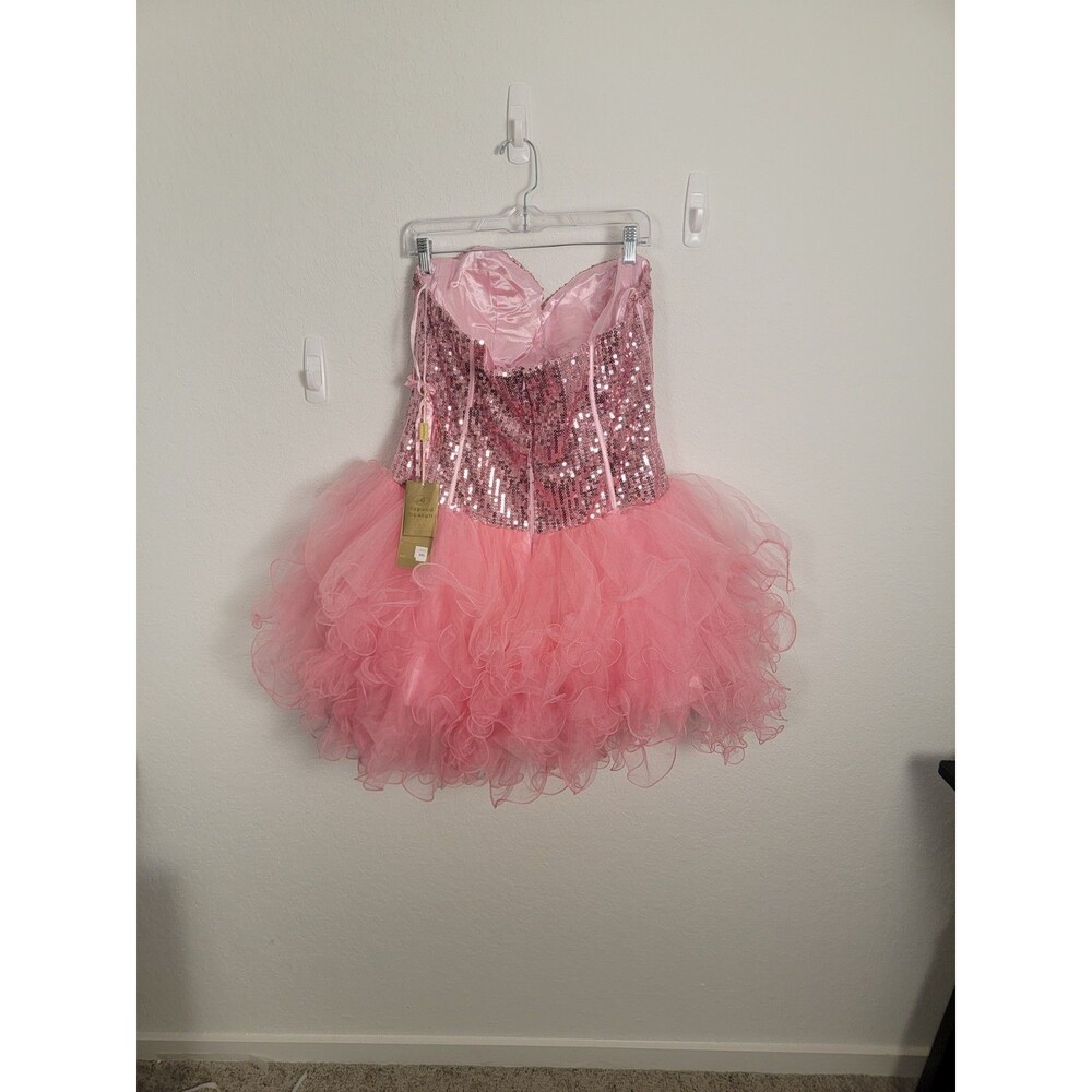 Aspeed Pink PrincessCore FairyCore Corset Tutu Dress Tulle Size 2X - Picture 14 of 16